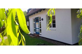 Wohnung mieten in Grünestr 45, 18375 Ostseebad Prerow, möblierte 2-Zimmer Erdgeschosswohnung mit Terasse in Prerow