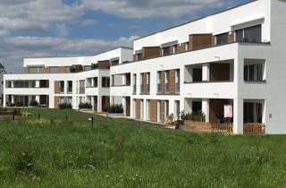 Wohnung mieten in Reutlinger Str. 42, 72138 Kirchentellinsfurt, Moderne 3-Zimmer-Wohnung mit Terrasse in attraktiver Lage von Kirchentellinsfurt