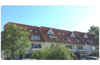 Wohnung mieten in 17034 Industrieviertel, WG-taugliche 3 - Raumwohnung in Innenstadtnähe