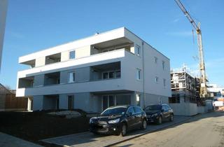 Wohnung mieten in Adam-Ries-Str. 17, 88471 Laupheim, 2 Zimmer - Wohnung im EG OHNE Küche