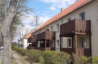 Wohnung mieten in Berliner Straße 24, 02991 Lauta, Lauta! Schöne 2 Raum Wohnung mit Balkon zu vermieten!