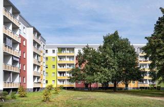 Wohnung mieten in Willi-Budich-Straße 34, 03044 Schmellwitz, Sanierte Wohnung mit Einbauküche