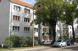 Wohnung mieten in Heinrich-Heine-Strasse 49, 06618 Naumburg, Kleine, gemütliche 2-Raum Wohnung mit Balkon in gepflegter Wohnlage - Heinrich-Heine-Straße 49