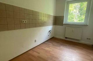 Wohnung mieten in Preßwitzer Straße In Hohenwarte 23a, 07318 Saalfeld, Neu renovierte 4 Raum-Wohnung in ruhigster Lage !
