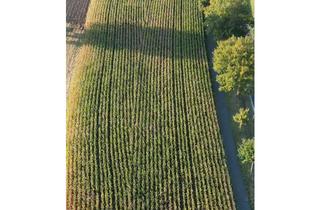 Einfamilienhaus kaufen in Espelner Str. 33, 33161 Hövelhof, Charmantes Einfamilienhaus im Außenbereich