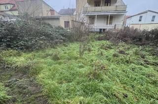 Haus kaufen in 67278 Bockenheim, Zum Renovieren !Freistehendes EFH mit Nebengebäuden