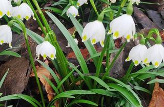 Mehrfamilienhaus kaufen in 87727 Babenhausen, Sonniges Mehrfamilienhaus mit 3 großzügigen Wohnungen- Neubau- Erstbezug im EG!