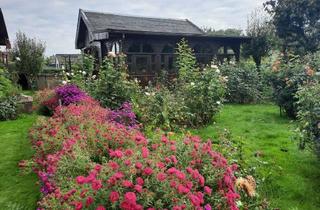 Haus kaufen in 16303 Schwedt, Kleingartentraum mit einzigartigen Fachwerkhaus vom Tischlermeister im Vorort von Schwedt (Oder)