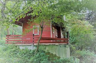 Haus kaufen in 67316 Carlsberg, *** Kleines Wochenendhaus im Naturschutzgebiet Pfälzerwald in Carlsberg-Hertlingshausen ***