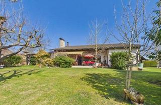 Einfamilienhaus kaufen in 91632 Wieseth, Großes Grundstück, klare Linien – Ihr neues Zuhause im Bungalow‑Stil