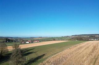 Grundstück zu kaufen in 94542 Haarbach, Einzigartiges Traumgrundstück mit unverbaubarem Weitblick - Grundstück kaufen