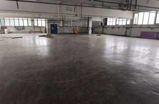 Büro zu mieten in 58540 Meinerzhagen, Großzügige Gewerbehalle (1.500 m²) mit Büro & LKW-Zufahrt – flexibel nutzbar