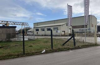 Gewerbeimmobilie kaufen in Steegener Chaussee 4D, 19230 Hagenow, Gewerbehalle mit Hallenkran, Nebengebäude, Freifläche mit Portalkran