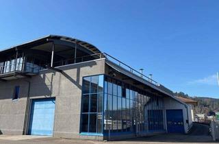 Gewerbeimmobilie mieten in 77716 Haslach, Vielseitige Produktions/Gewerbehalle in Haslach – 2611m² – Top Anbindung!
