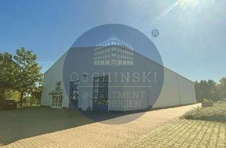 Gewerbeimmobilie kaufen in 99510 Wiegendorf, D16624 +++ Leerstehende Produktions- Gewerbehalle + Bebauungspotenzial + 1.167 m² + Wiegendorf +++