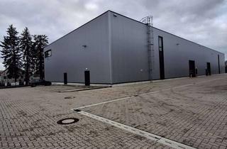 Gewerbeimmobilie mieten in 30853 Langenhagen, Say hello to: Logistikzentrum in bester Lage am HAN Airport