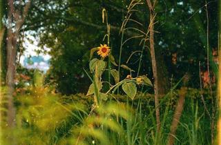 Grundstück zu kaufen in 86420 Diedorf, Naturparadies in Diedorf.