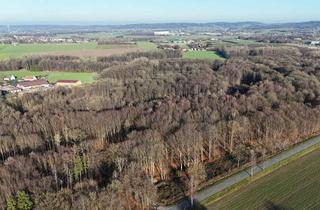 Grundstück zu kaufen in 49326 Melle, Zwei Waldflächen - ein Stück Natur in Wennigsen