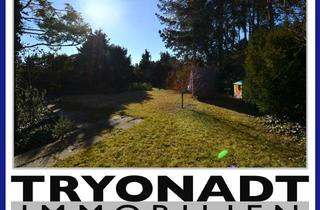 Grundstück zu kaufen in 12307 Lichtenrade, Wo Ruhe auf Möglichkeiten trifft – Baugrundstück in Lichtenrade