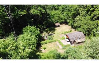 Grundstück zu kaufen in 37269 Eschwege, Freizeitgrundstück mit Gartenhaus in Eschwege