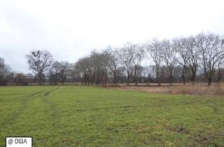 Grundstück zu kaufen in 39288 Burg, AUKTION - Landwirtschaftsflächen in unmittelbarer Nähe zur Bahnlinie