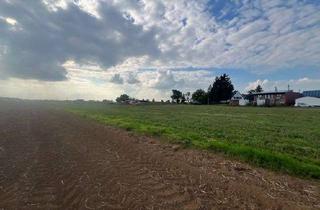 Grundstück zu kaufen in 52391 Vettweiß, Baugrundstück in Vettweiß-Kettenheim