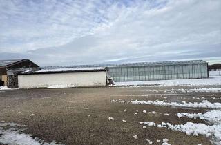 Immobilie kaufen in Remsharter Str. 50, 89331 Burgau, Gärtnerei in Burgau zu verkaufen oder vermieten