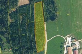 Gewerbeimmobilie kaufen in 83119 Obing, Waldfläche in der Nähe von Obing