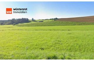 Gewerbeimmobilie kaufen in 53945 Blankenheim, Landwirtschaftliche Fläche - Auf Sinderscheid (Blankenheim-Ripsdorf)