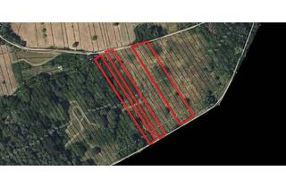 Gewerbeimmobilie kaufen in Bergstr, 66996 Hirschthal, Kapitalanlage – Landwirtschaftsfläche - Ziegenweide - Obstwiese in 66996 Hirschthal zu Verkaufen