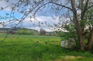 Wohnung mieten in 88214 Ravensburg, 88214 Ravensburg: Sanierte 2,5-Zi-Wohnung in ruhiger Wohnlage, große Terrasse. Stellplatz