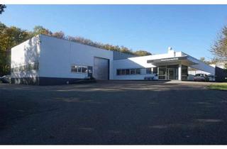 Gewerbeimmobilie mieten in Lindenstraße 70, 75446 Wiernsheim, Fabrikanlage - autobahnnah bei Stuttgart - zu vermieten
