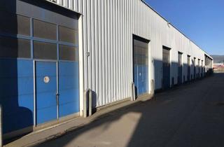 Gewerbeimmobilie mieten in Otto-Hahn-Straße 33 +29A, 54316 Pluwig, TRIWO Gewerbepark Wittlich - Lagerfläche mit 51,60 m²