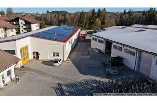 Gewerbeimmobilie mieten in 87629 Füssen, Lager/Produktion - Kran vorhanden - provisionsfrei in Pfronten