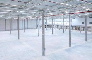 Gewerbeimmobilie mieten in 54634 Bitburg, Provisionsfrei | Logistikfläche | 13.000 m² | Top Verkehrsanbindung | RUHR REAL