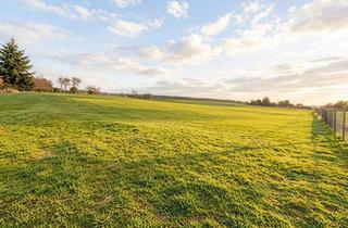 Grundstück zu kaufen in 67271 Kleinkarlbach, Entwicklungsareal mit Bauvorbescheid – 7.000 m² Grundstück an der Weinstraße