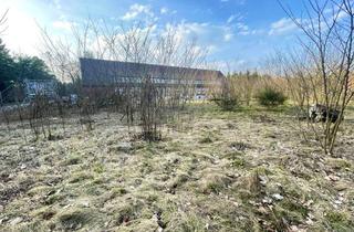 Grundstück zu kaufen in 29392 Wesendorf, IHR TRAUMGRUNDSTÜCK – CA. 847 M² IN GEWACHSENER WOHNLAGE