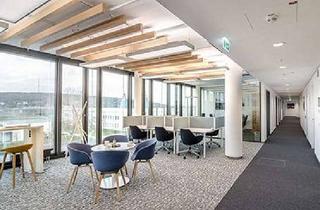 Büro zu mieten in 53113 Gronau, Exklusives Büro L: 24/7 Zugang, komplett ausgestattet, Bonn 53111