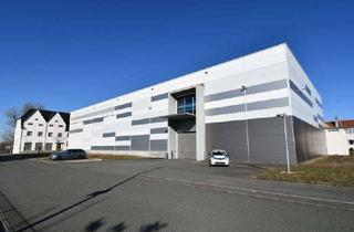 Gewerbeimmobilie mieten in Am Forschungszentrum, 01591 Riesa, Lager- und Industriehalle mit 10t-Kran - Nähe Binnenhafen Riesa