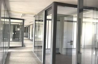 Büro zu mieten in 49324 Melle, Helle, großzügige Bürofläche | 300 m² | zentrale Top-Lage in Melle | flexibel teilbar | Aufzug |