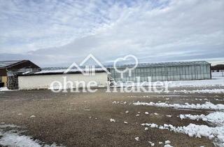 Lager kaufen in Remsharter Str. 50, 89331 Burgau, Gärtnerei in Burgau zu verkaufen oder vermieten