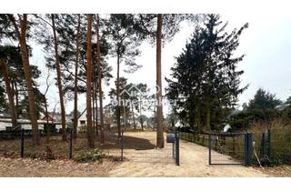 Immobilie kaufen in Parkallee 26, 15712 Zernsdorf, Provisionsfrei: 736 m² in Zernsdorf – freigeräumtes Baugrundstück in 1. Reihe