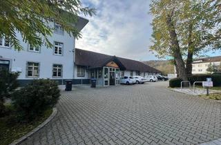 Mehrfamilienhaus kaufen in 79761 Waldshut-Tiengen, Waldhut - Nachfolger gesucht! Wohn- & Geschäftshaus