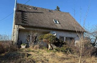 Haus kaufen in 91475 Lonnerstadt, Lonnerstadt - Ihr Pferd dort, wo Sie wohnen ! Renovierungsbed. EFH mit 2300 m² Grund