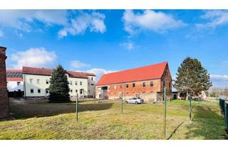 Mehrfamilienhaus kaufen in 06679 Hohenmölsen, Hohenmölsen - Attraktives Investment: Mehrfamilienhaus mit Nebengebäuden und umfangreichem Bauland