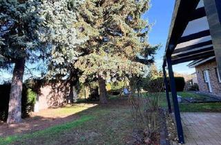 Einfamilienhaus kaufen in 04827 Machern, Machern - Einfamilienhaus mit Einliegerwohnung und großzügigem Gartenparadies