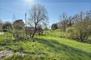 Haus kaufen in 88633 Heiligenberg, Heiligenberg - Ehemaliges Mühlenanwesen mit mächtig viel Platz