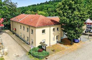 Mehrfamilienhaus kaufen in 01796 Pirna, Pirna - Mehrfamilienhaus mit Gewerbe in schöner Lage in Pirna