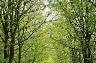 Wohnung kaufen in 01454 Ullersdorf, Ullersdorf - Viel Raum zur persönlichen Entfaltung & Lebensfreude!