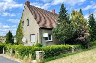 Einfamilienhaus kaufen in Am Damm 9, 06895 Zahna-Elster, Zahna-Elster - Großes Einfamilienhaus mit Potenzial zum Zweifamilienhaus auf 4.695 m² Grundstück - mit Gewächshäusern, Blockhütte & mehr!